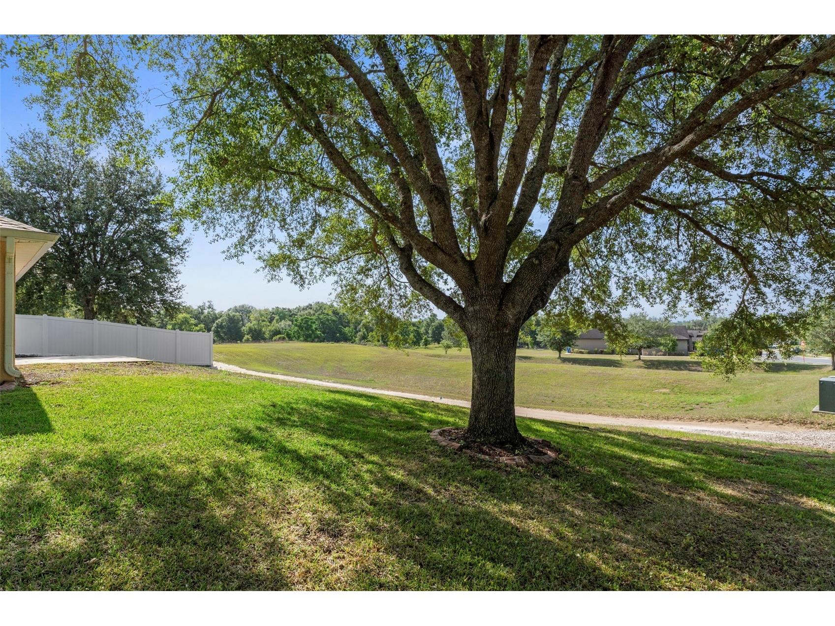 7228 Crested Orchid Drive Brooksville FL 34602 W7885236 image35