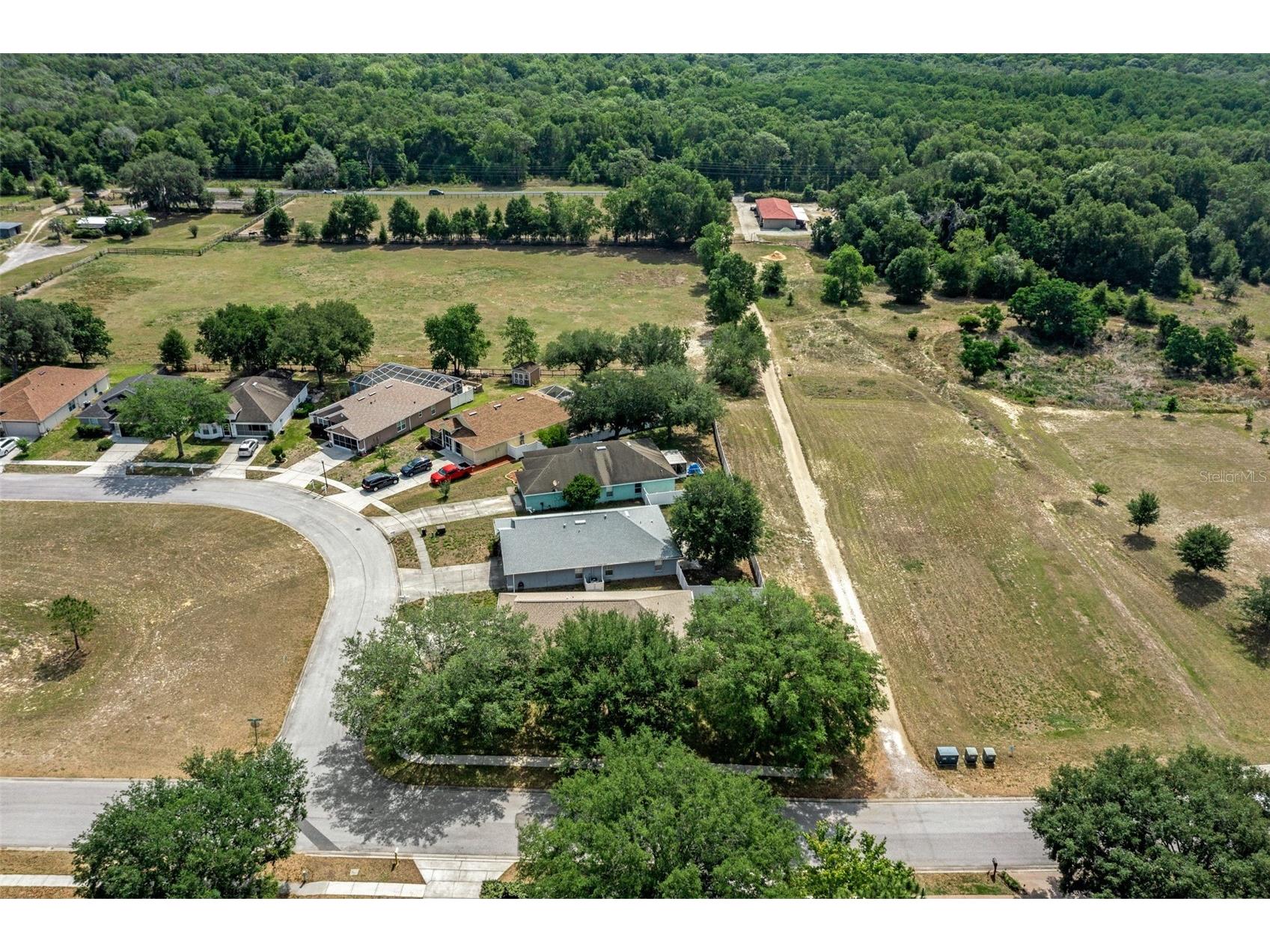 7228 Crested Orchid Drive Brooksville FL 34602 W7885236 image37