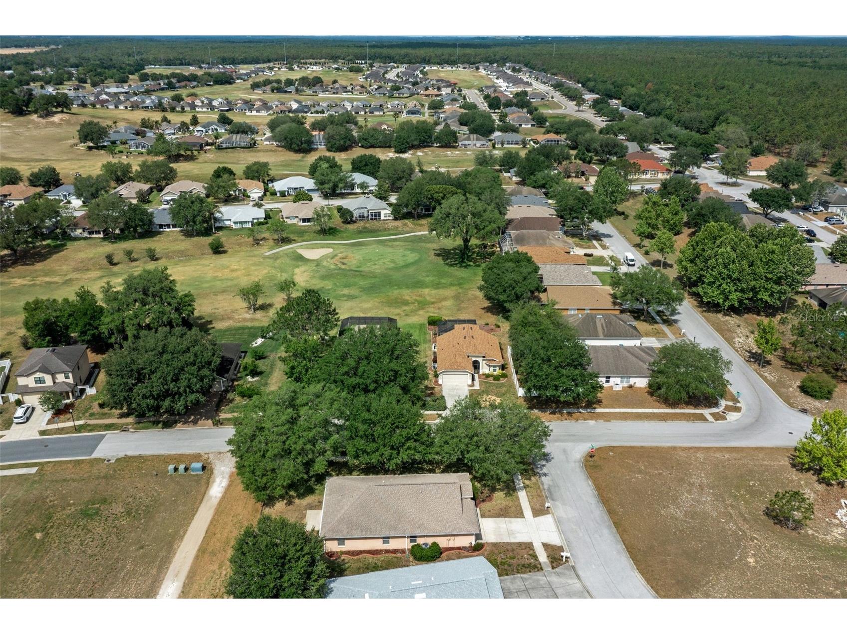 7228 Crested Orchid Drive Brooksville FL 34602 W7885236 image39