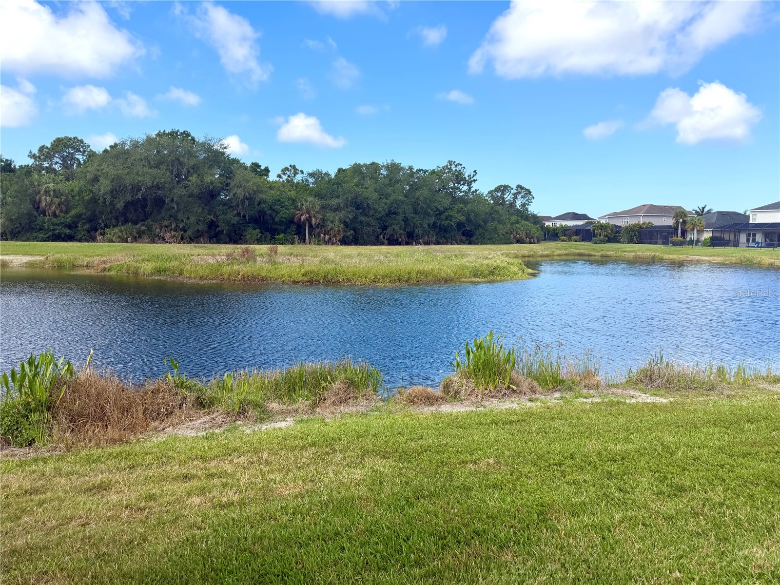 7229 Monarda Drive Sarasota FL 34238 A4692678 image45