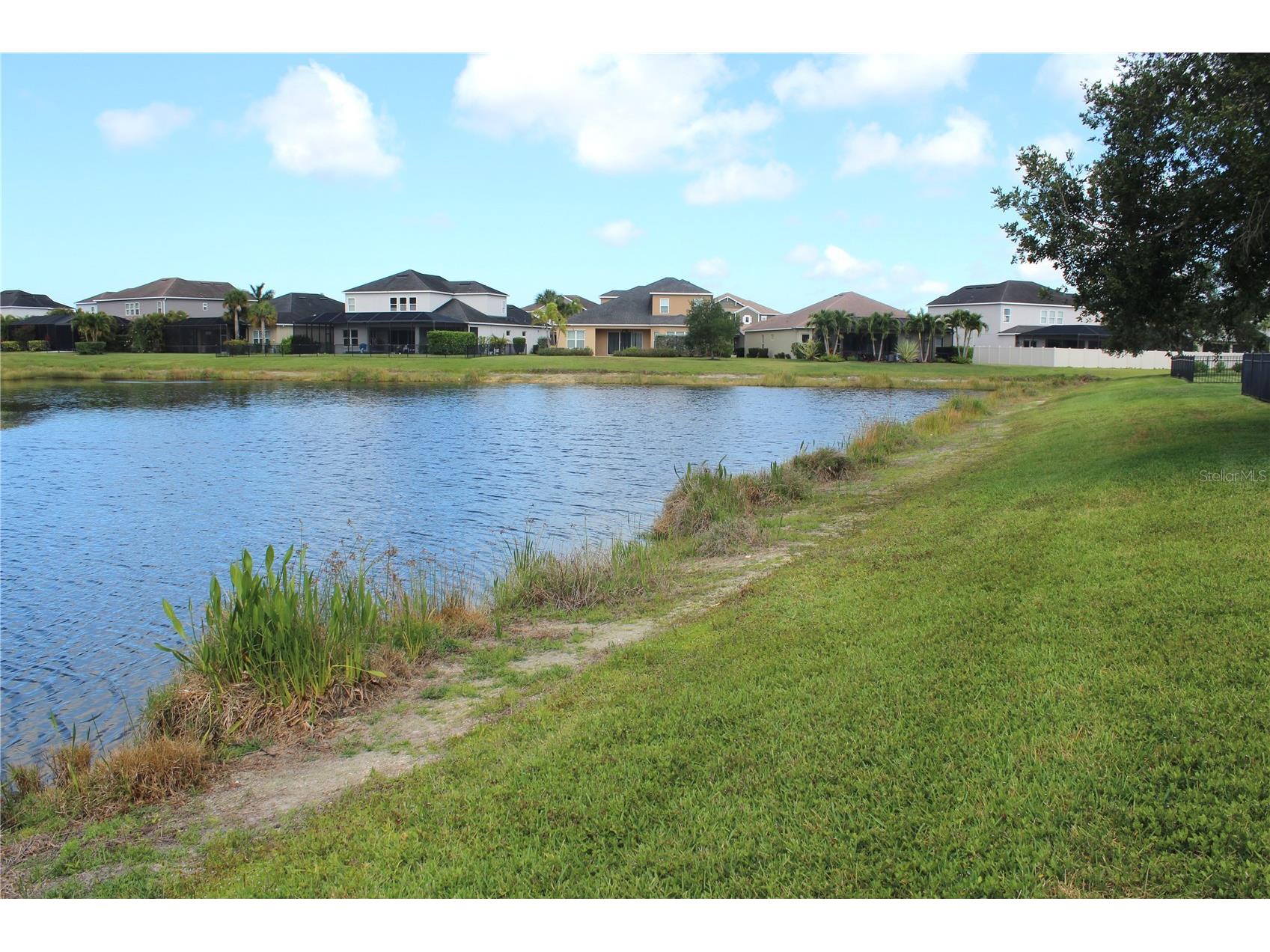 7229 Monarda Drive Sarasota FL 34238 A4692678 image46