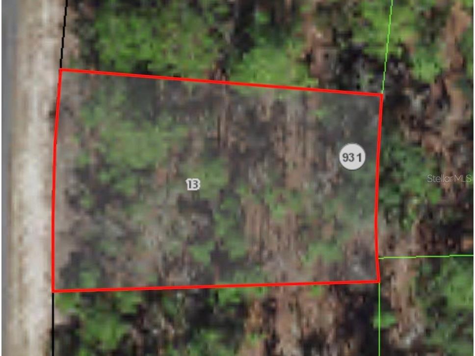 7229 N Gibralter Drive Citrus Springs FL 34434 A4578644 image1