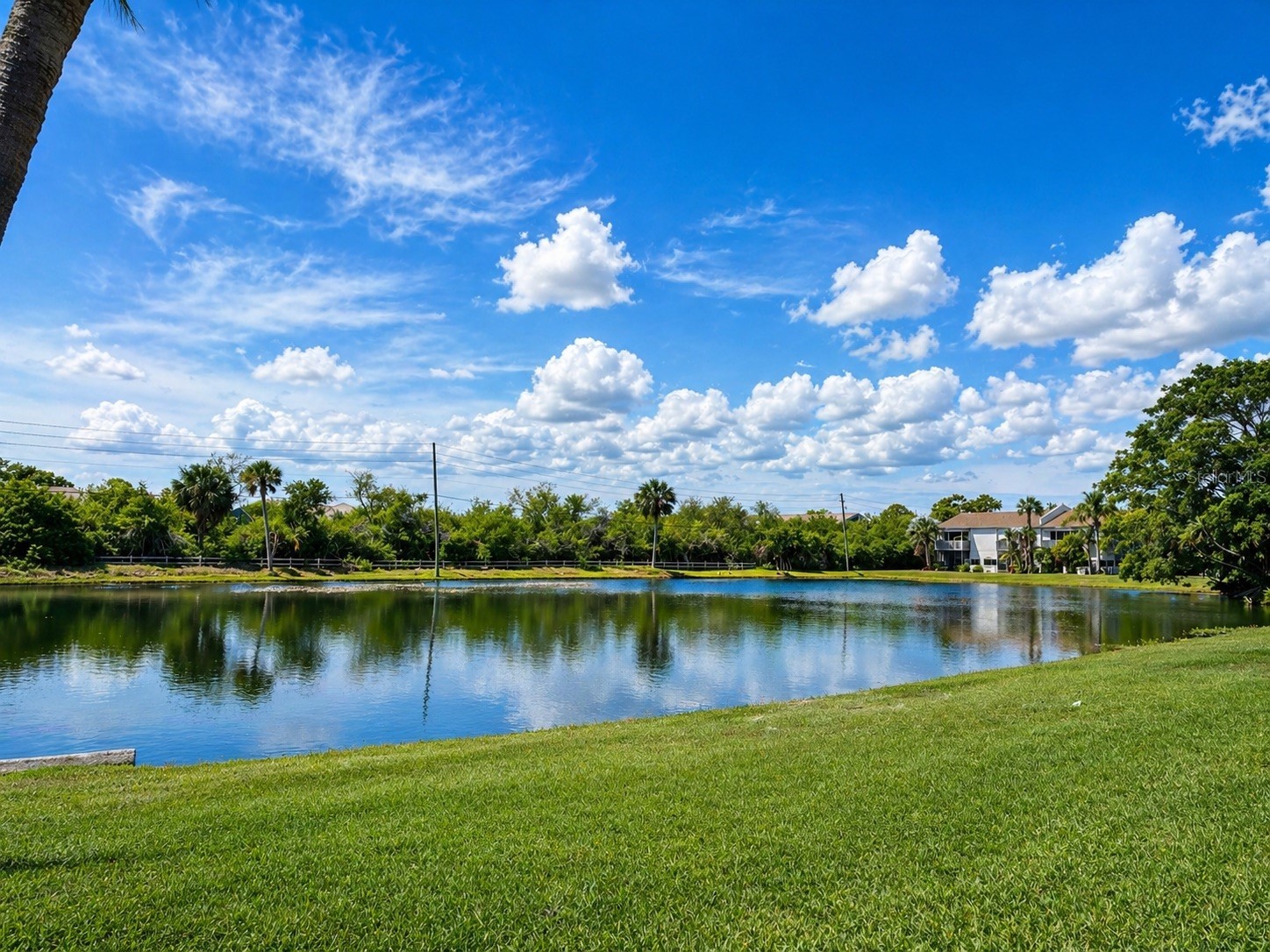723 115th Avenue N #2106 Saint Petersburg FL 33716 TB8501568 image30