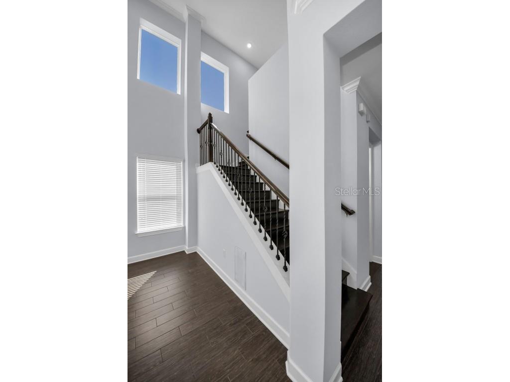 723 Cajeput Loop Tarpon Springs FL 34689 TB8450675 image38