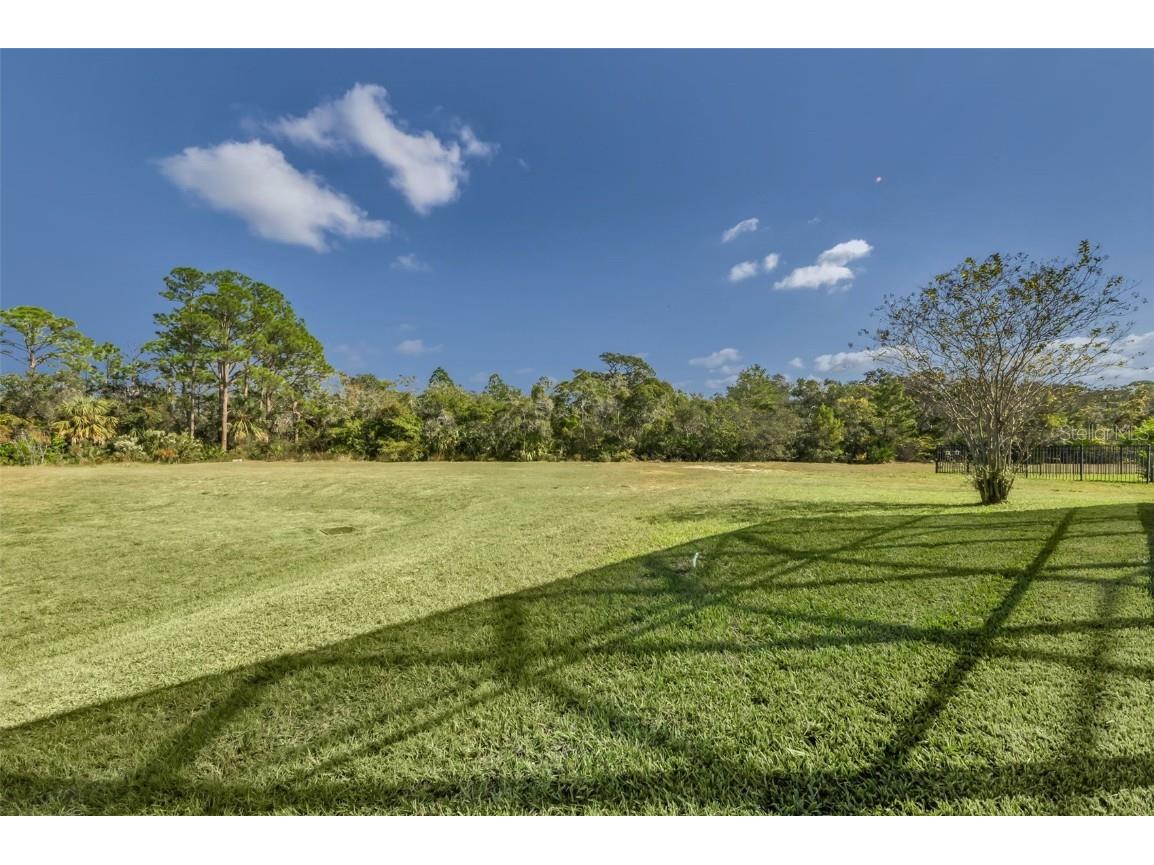 723 Cajeput Loop Tarpon Springs FL 34689 TB8450675 image69