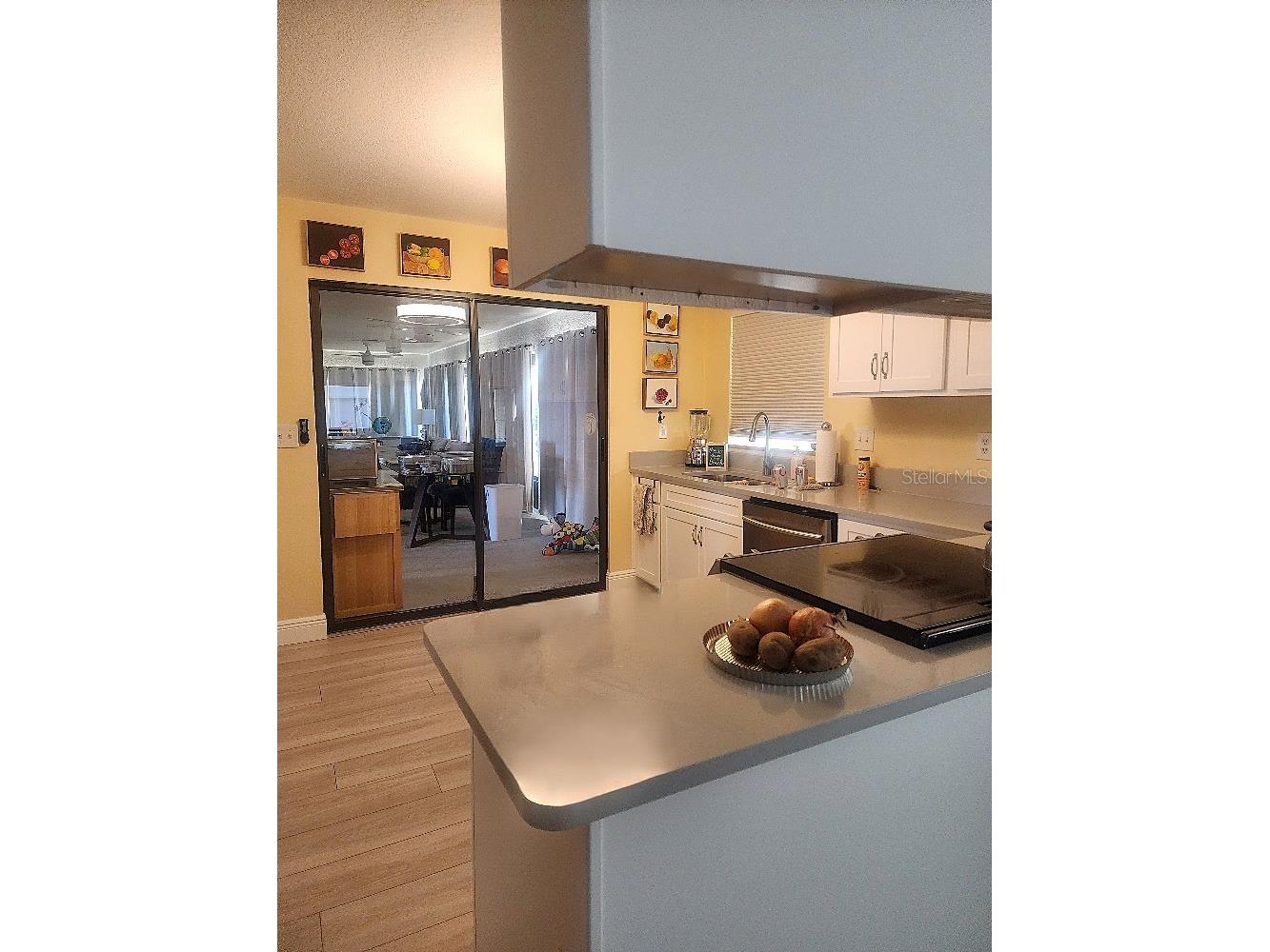 723 Elkhorn Road Sun City Center FL 33573 TB8465700 image9