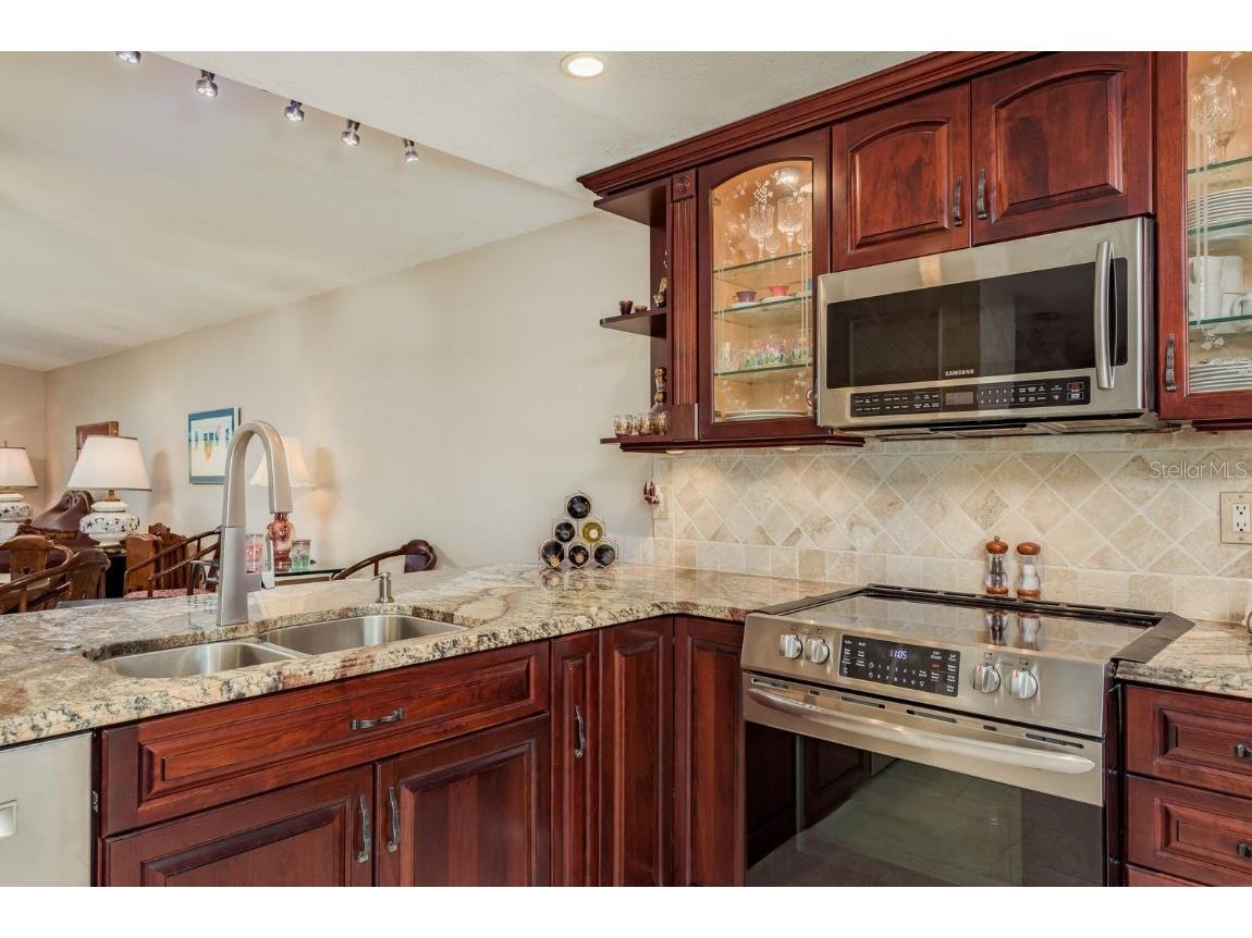 723 Merlins Court Tarpon Springs FL 34689 - Spring Lake TB8406455 image17