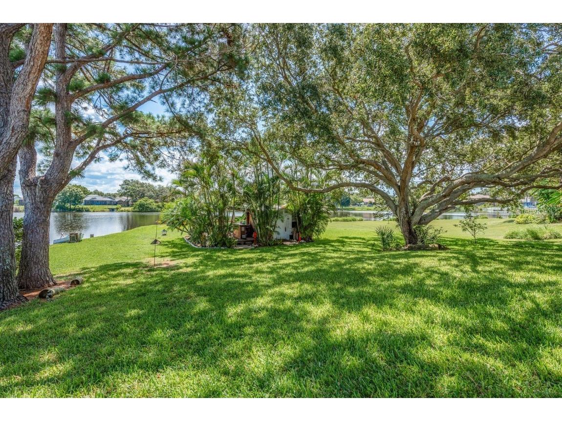 723 Merlins Court Tarpon Springs FL 34689 - Spring Lake TB8406455 image37