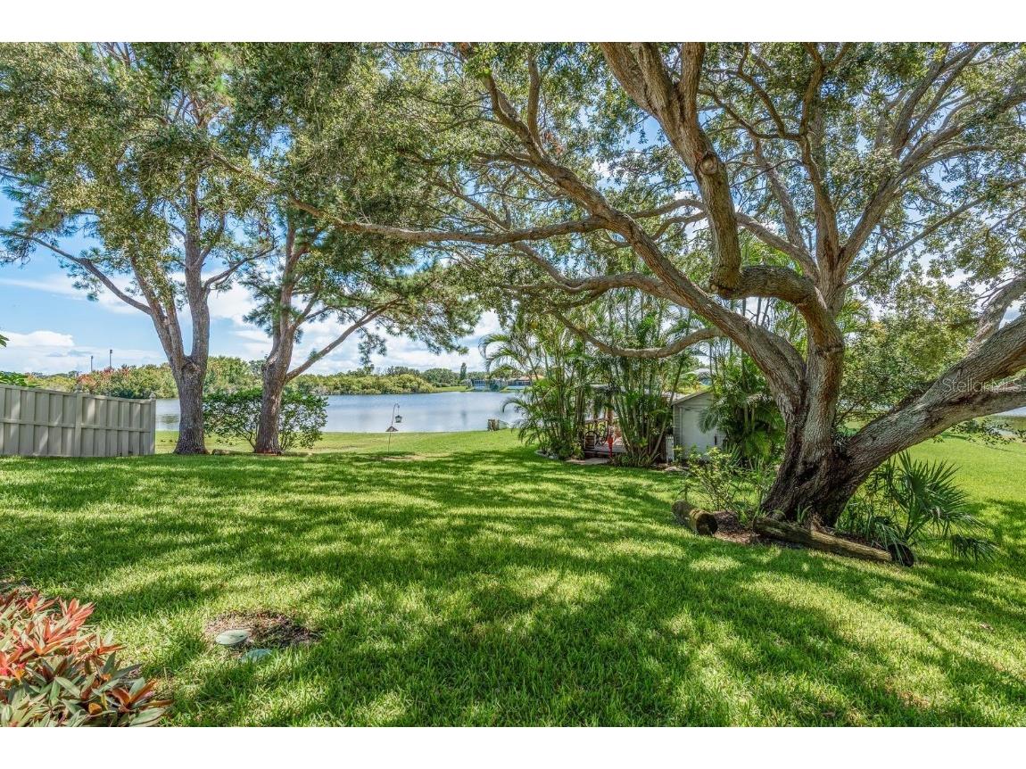 723 Merlins Court Tarpon Springs FL 34689 - Spring Lake TB8406455 image38