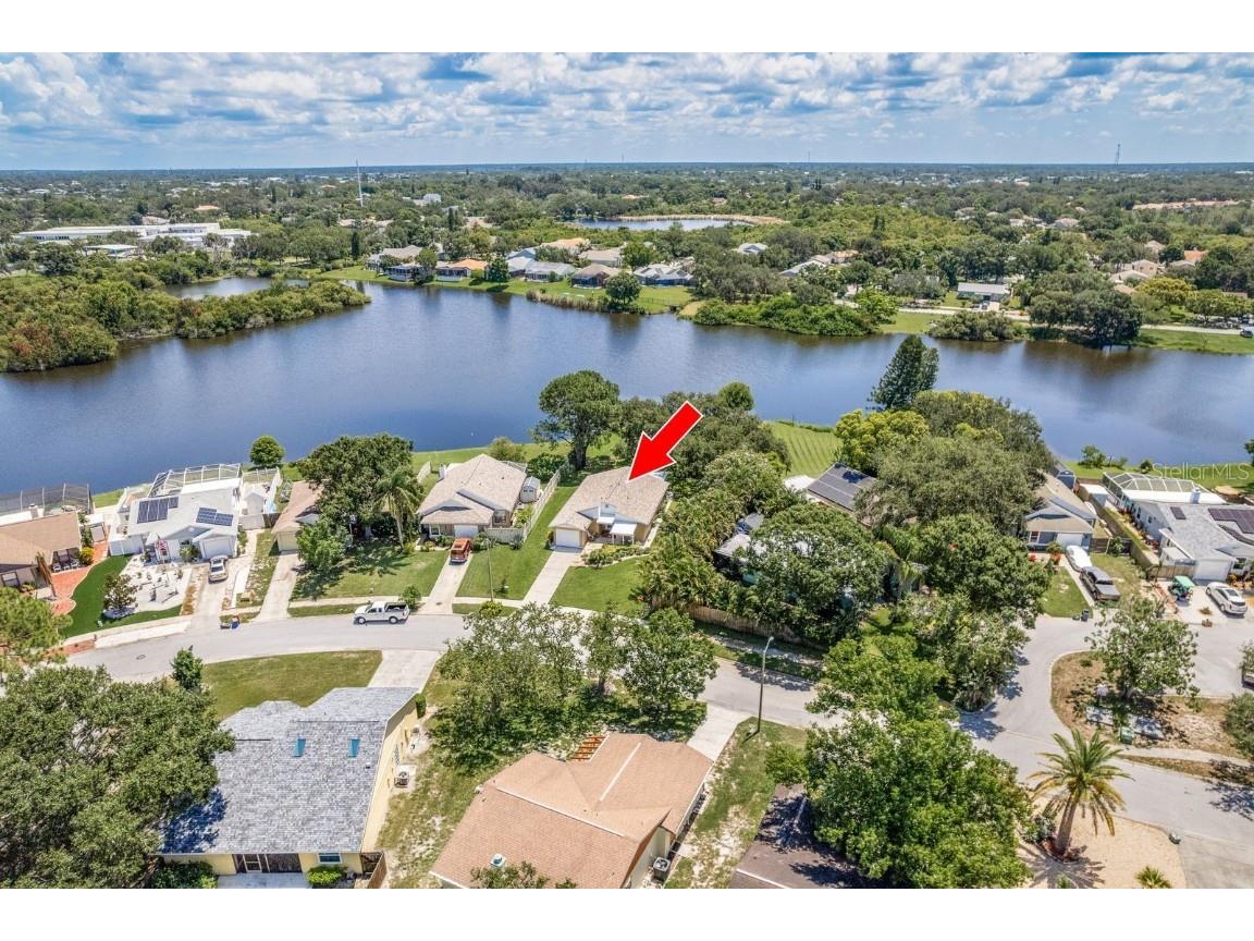 723 Merlins Court Tarpon Springs FL 34689 - Spring Lake TB8406455 image4