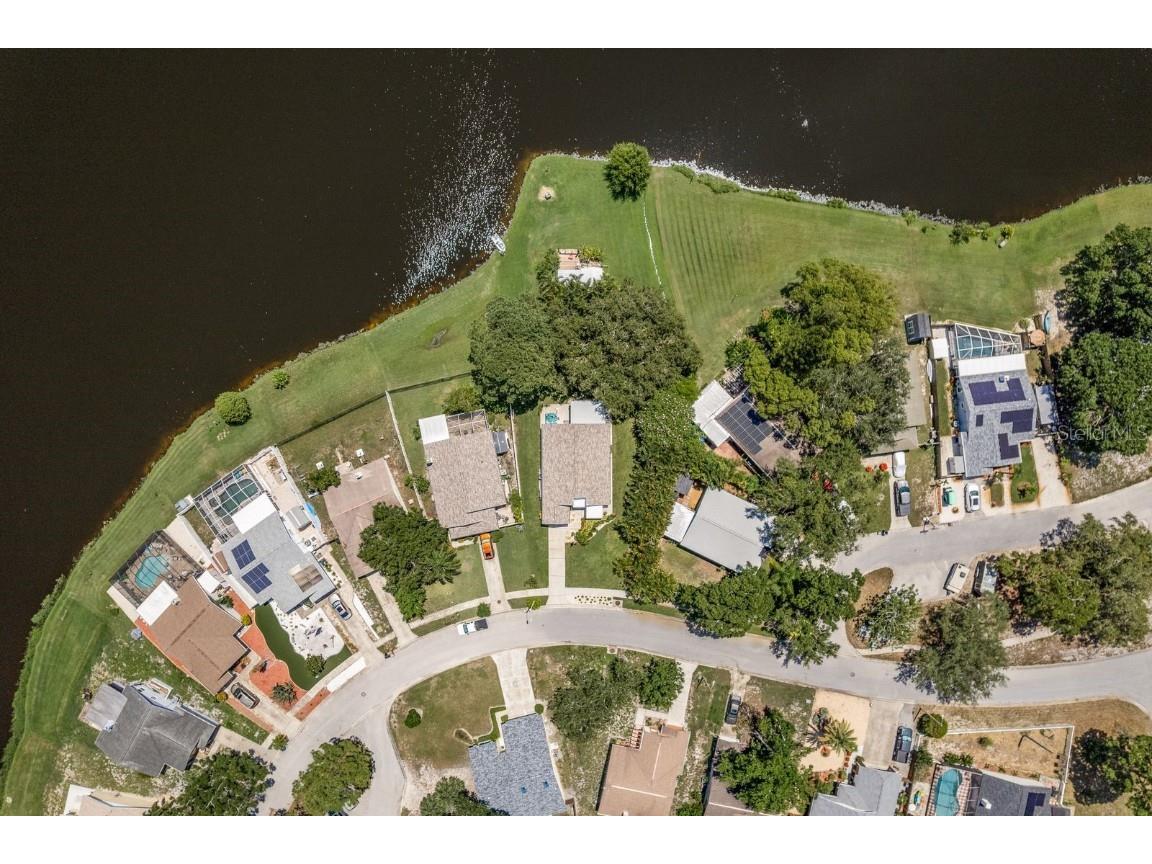 723 Merlins Court Tarpon Springs FL 34689 - Spring Lake TB8406455 image55