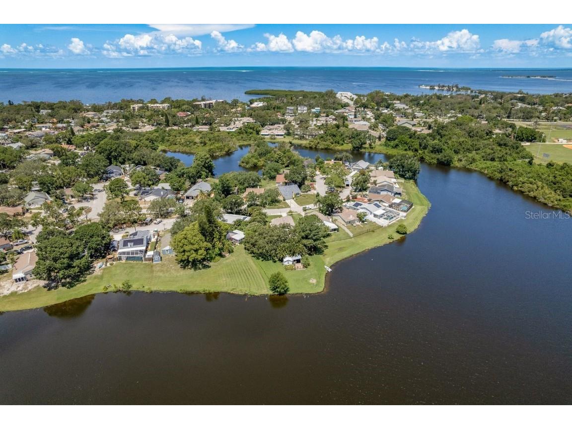 723 Merlins Court Tarpon Springs FL 34689 - Spring Lake TB8406455 image56