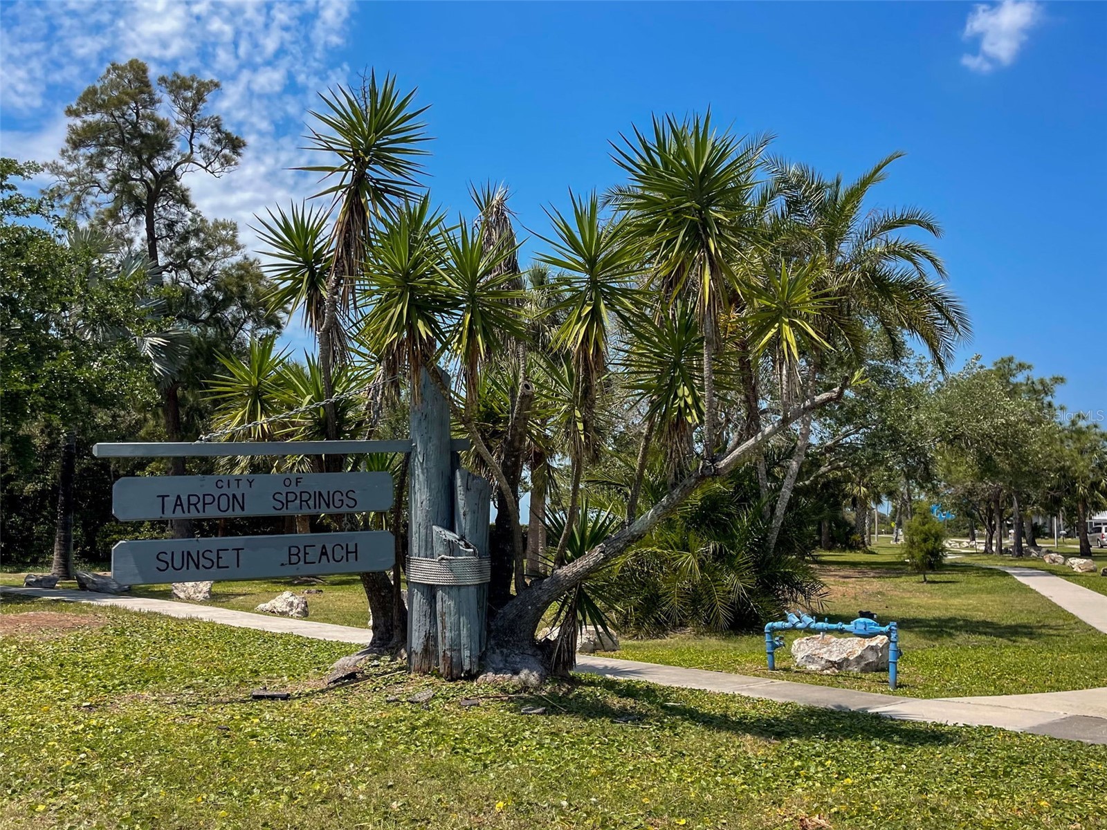 723 Pent Street Tarpon Springs FL 34689 TB8512315 image38