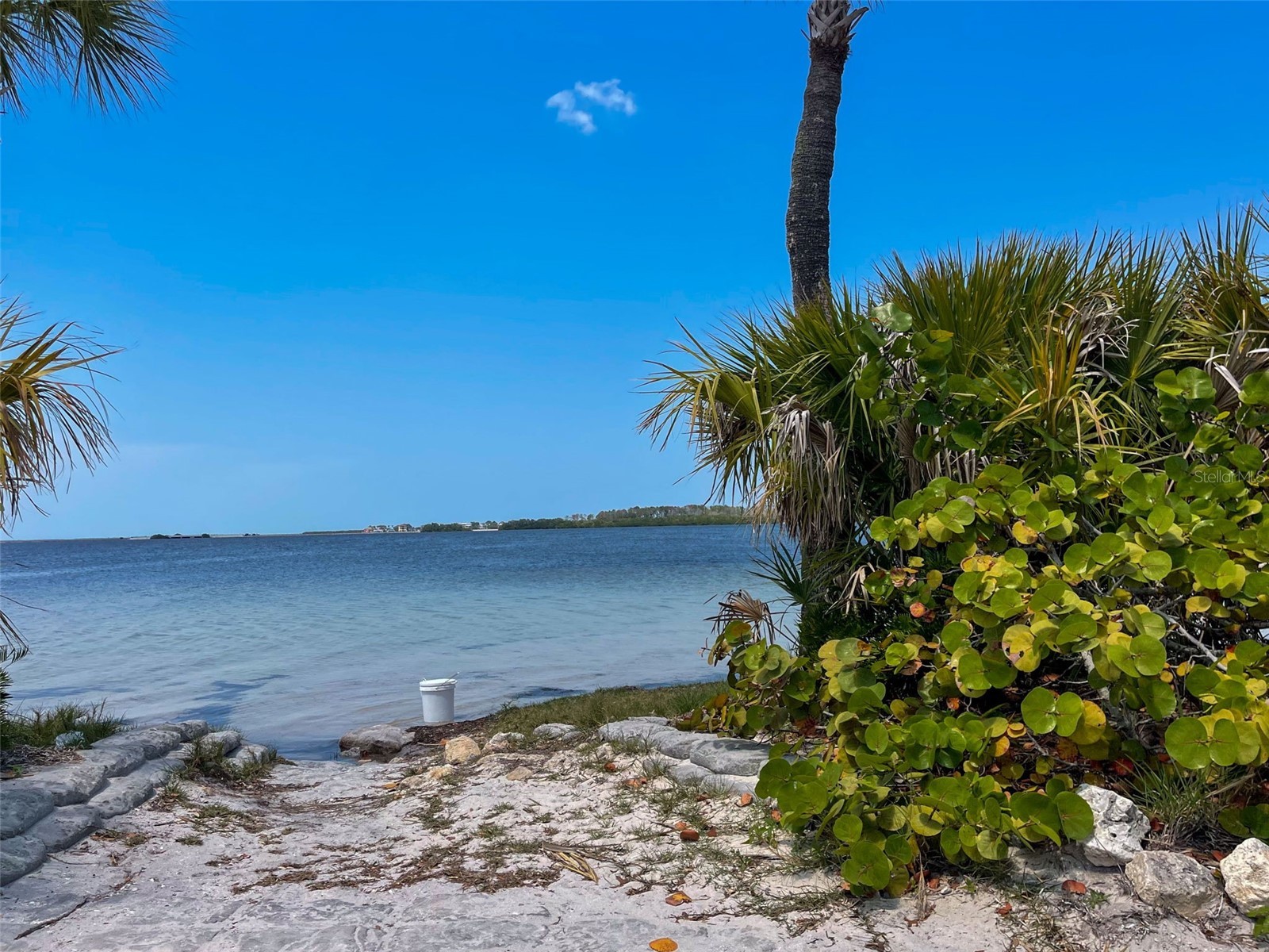 723 Pent Street Tarpon Springs FL 34689 TB8512315 image39