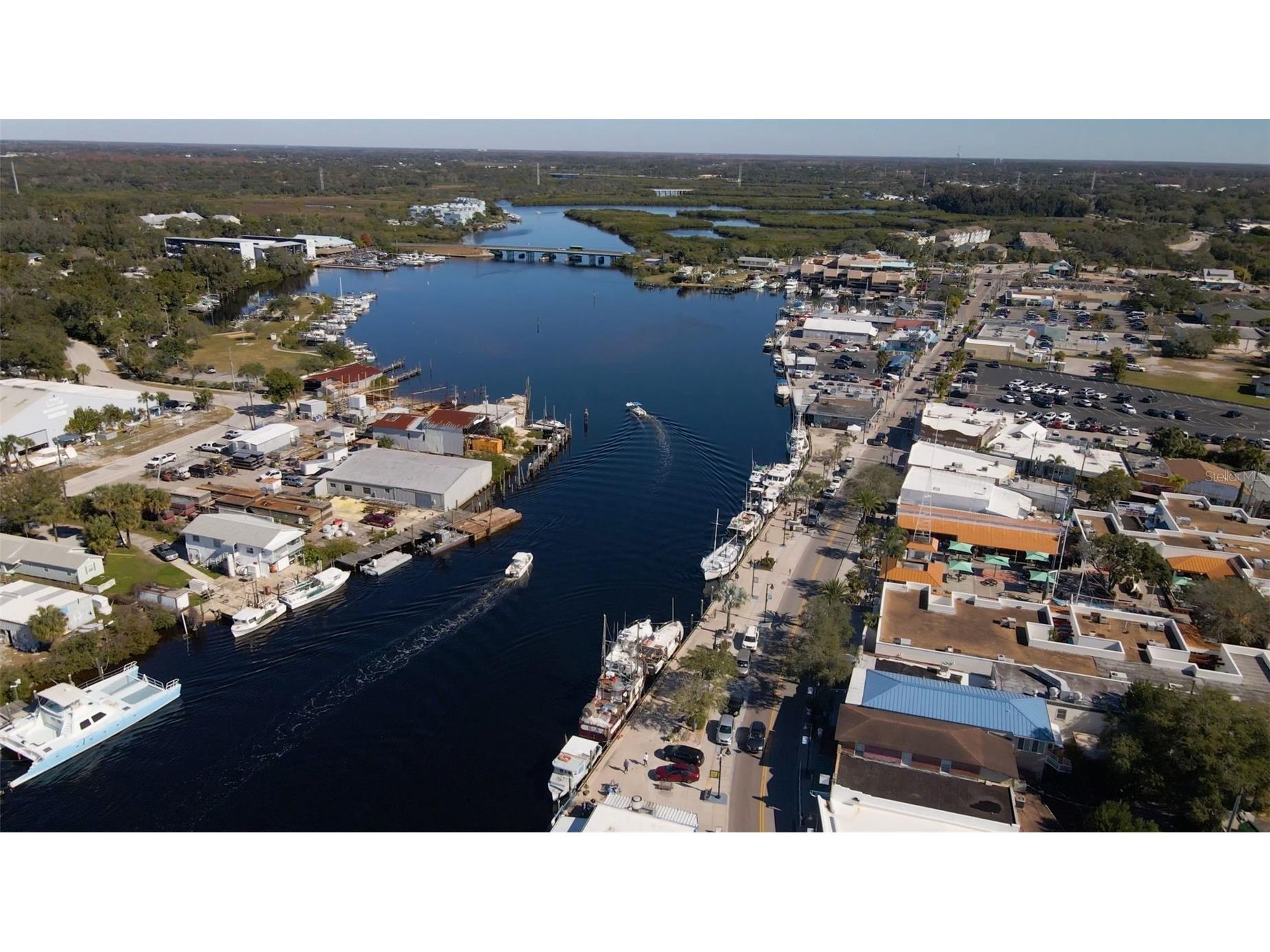 723 Pent Street Tarpon Springs FL 34689 TB8512315 image42