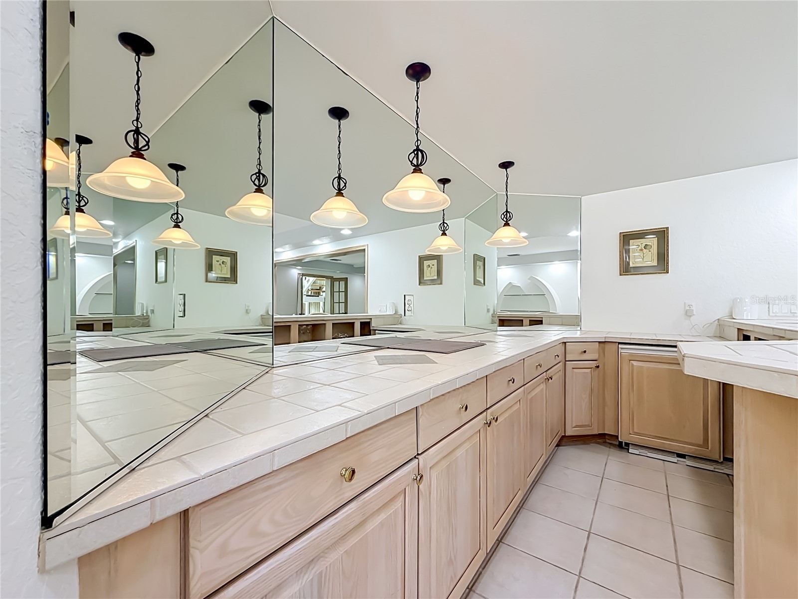 723 Pinta Drive Tierra Verde FL 33715 - GULF OF MEXICO TB8475289 image65