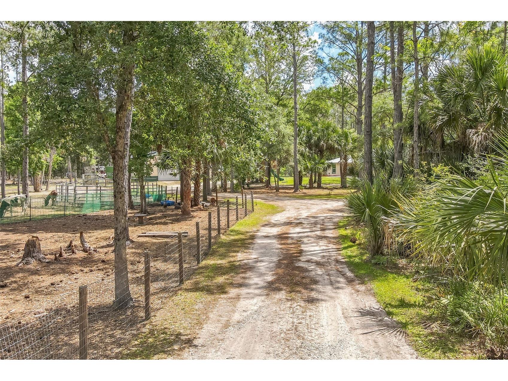 723 River Run Road Osteen FL 32764 O6406399 image34