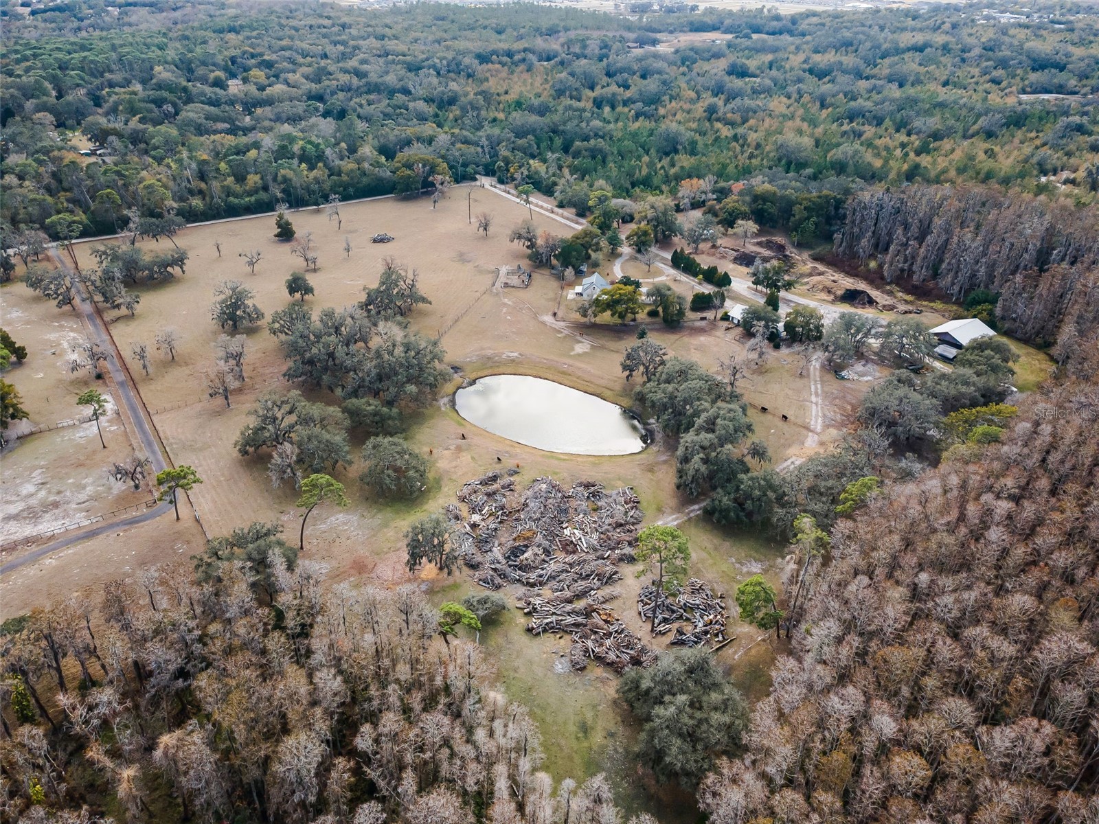 7230 Old Homestead Road New Port Richey FL 34654 TB8476406 image10
