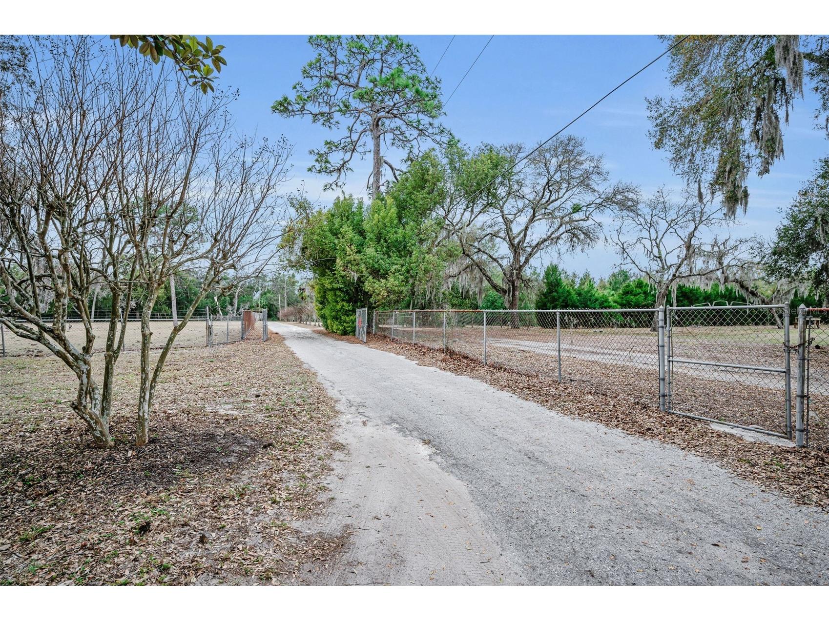7230 Old Homestead Road New Port Richey FL 34654 TB8476406 image15