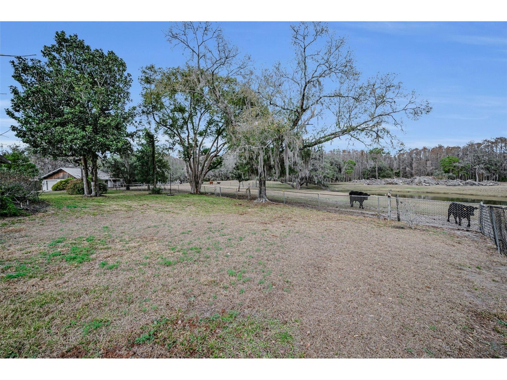 7230 Old Homestead Road New Port Richey FL 34654 TB8476406 image57