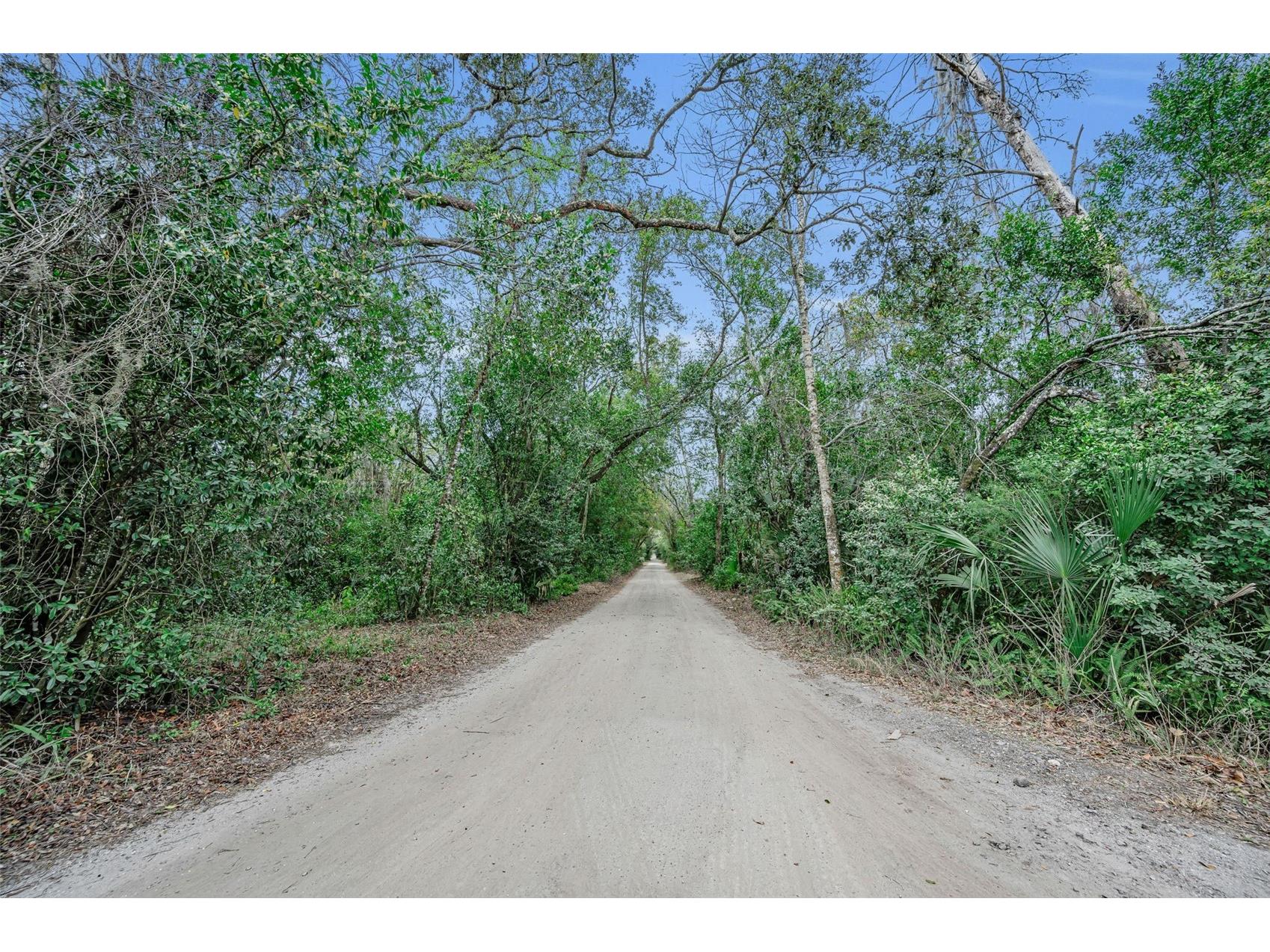 7230 Old Homestead Road New Port Richey FL 34654 TB8476406 image6