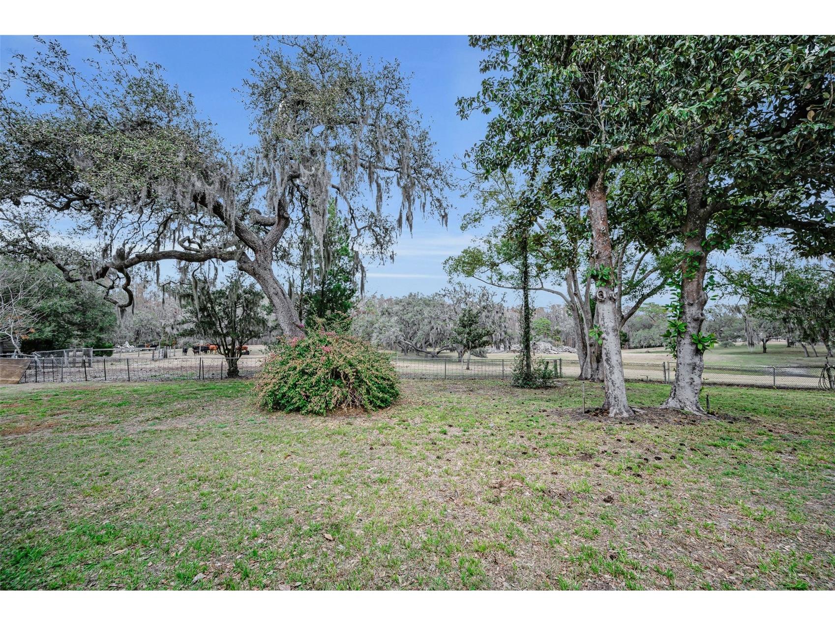 7230 Old Homestead Road New Port Richey FL 34654 TB8476406 image60