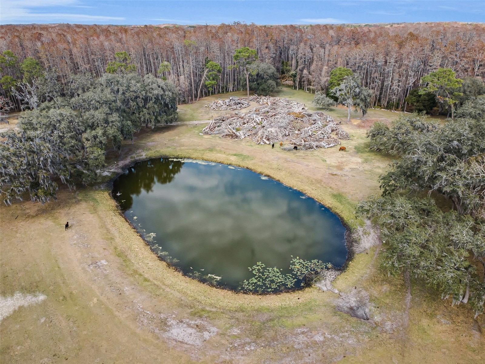 7230 Old Homestead Road New Port Richey FL 34654 TB8476406 image61