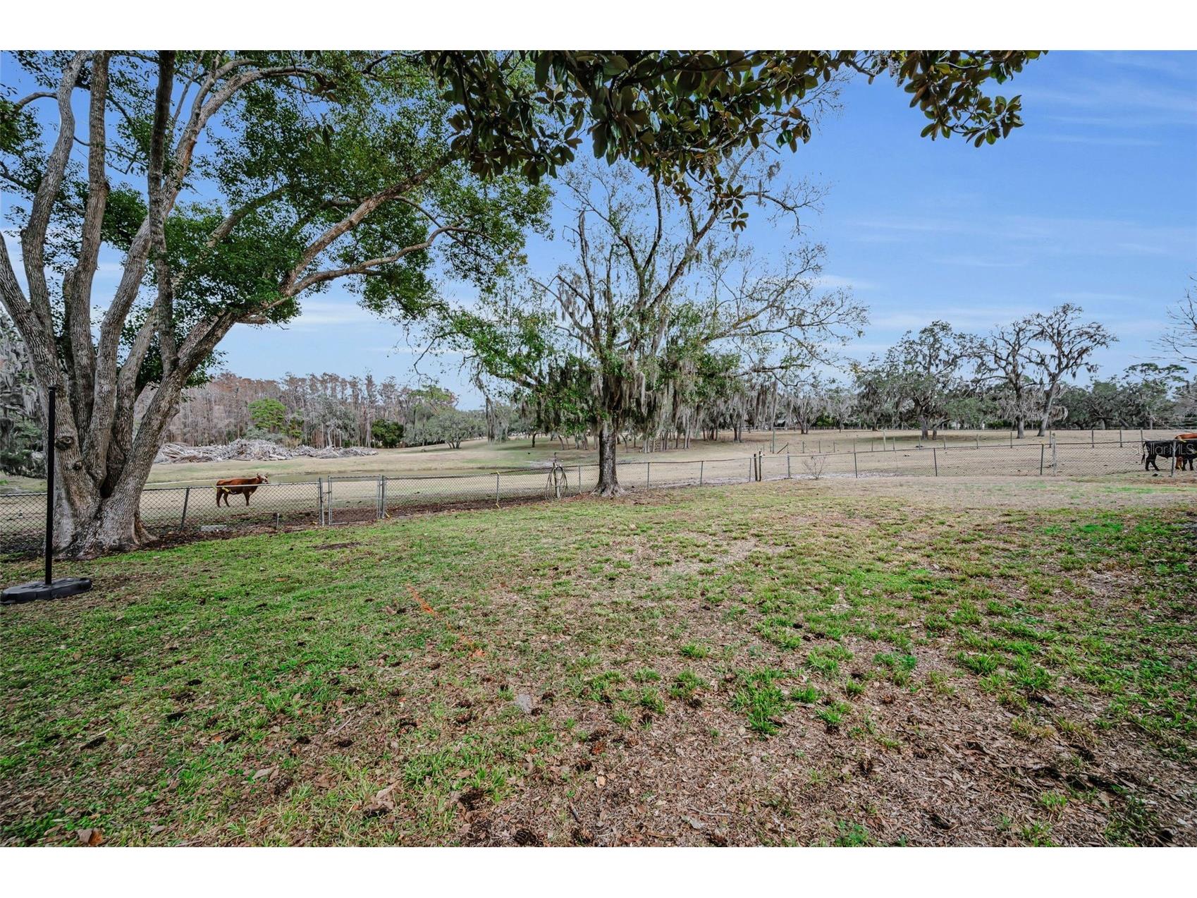 7230 Old Homestead Road New Port Richey FL 34654 TB8476406 image62