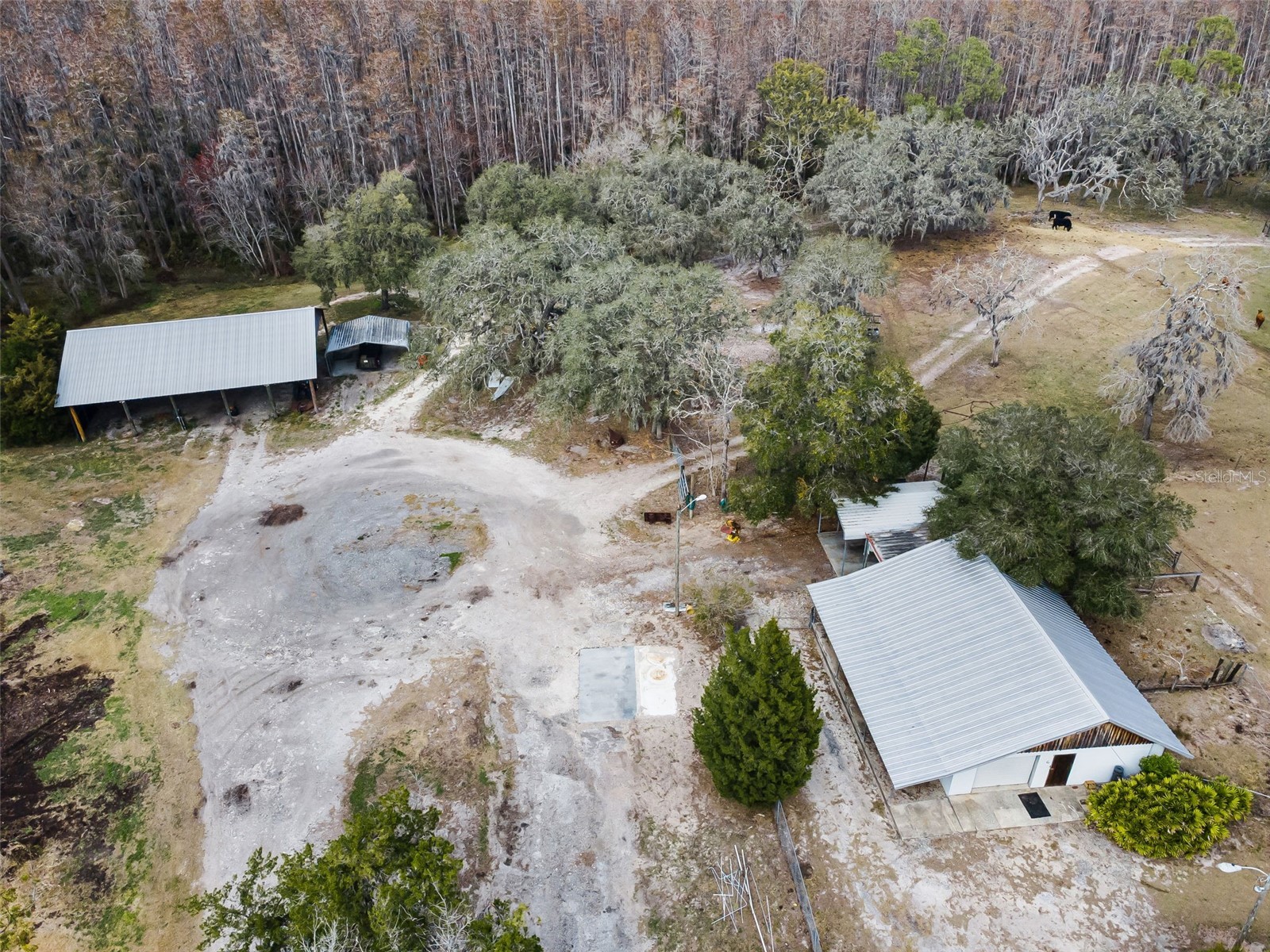 7230 Old Homestead Road New Port Richey FL 34654 TB8476406 image68