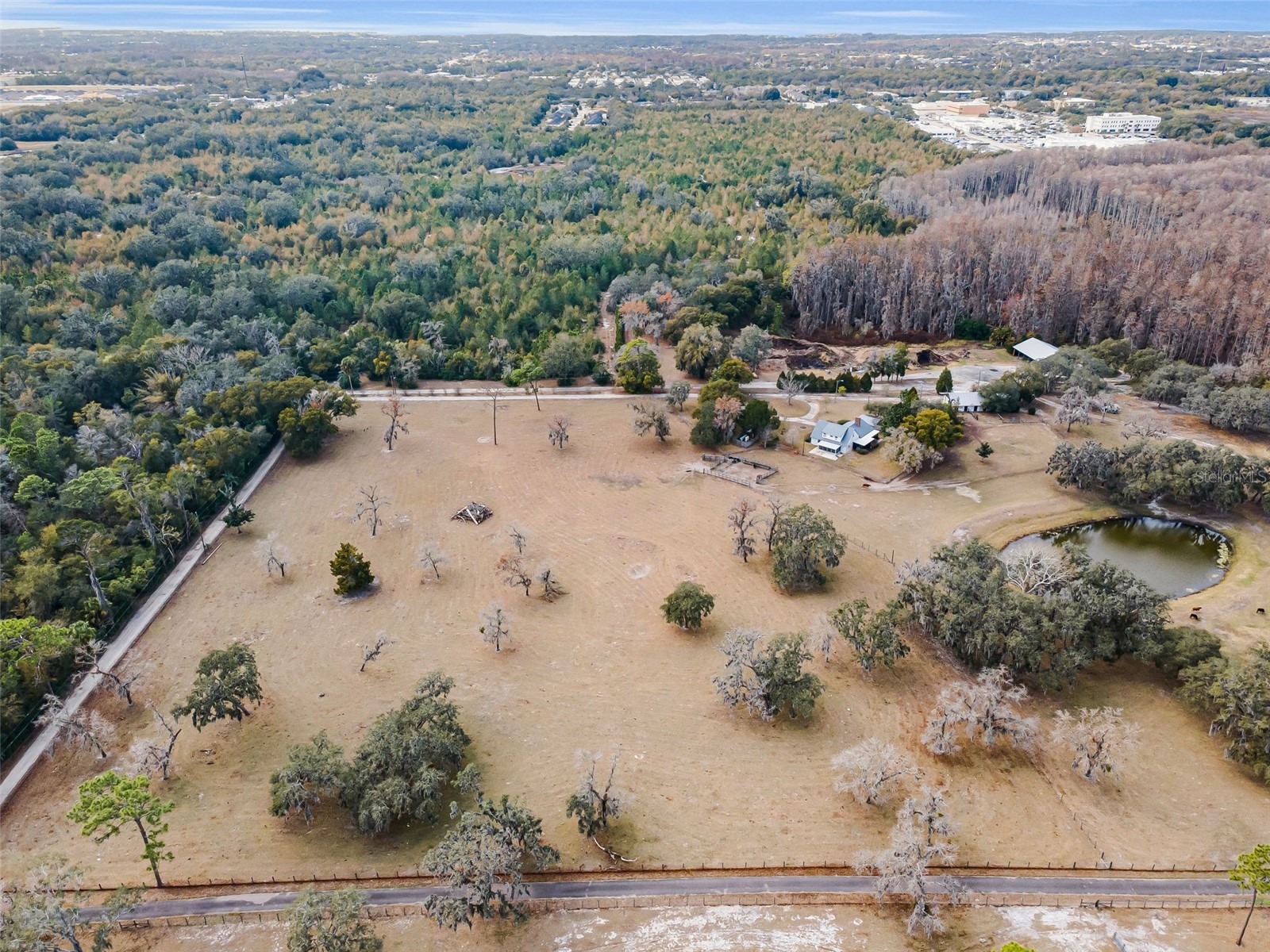 7230 Old Homestead Road New Port Richey FL 34654 TB8476406 image8
