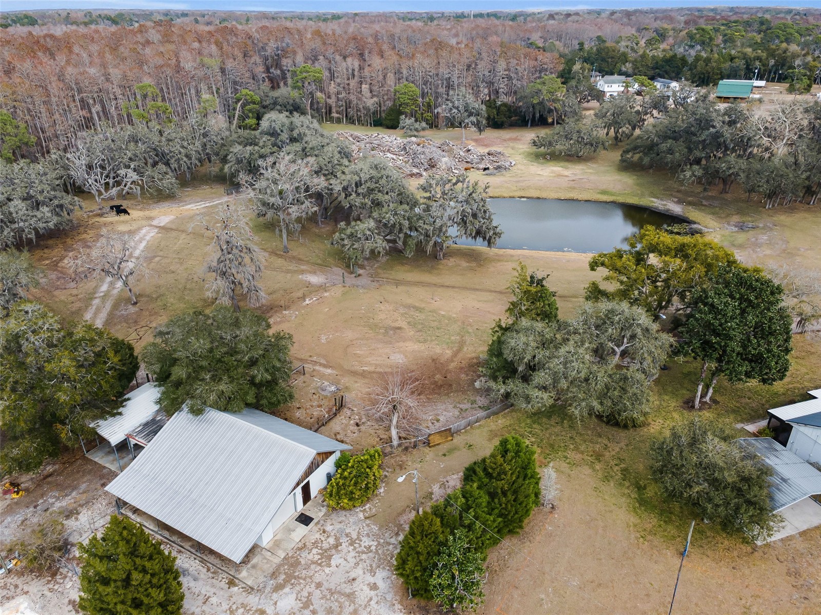7230 Old Homestead Road New Port Richey FL 34654 TB8476406 image83