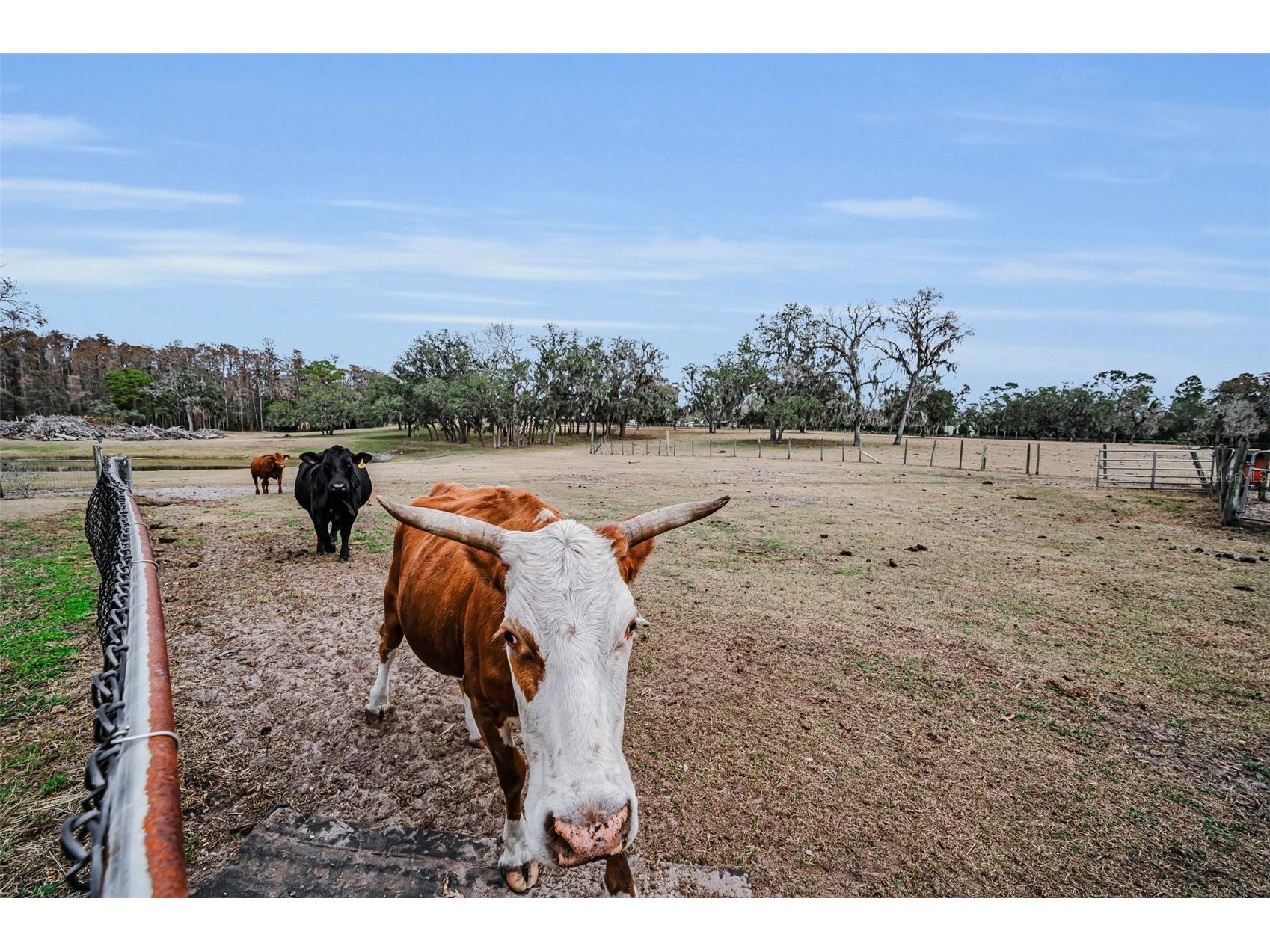 7230 Old Homestead Road New Port Richey FL 34654 TB8476406 image87