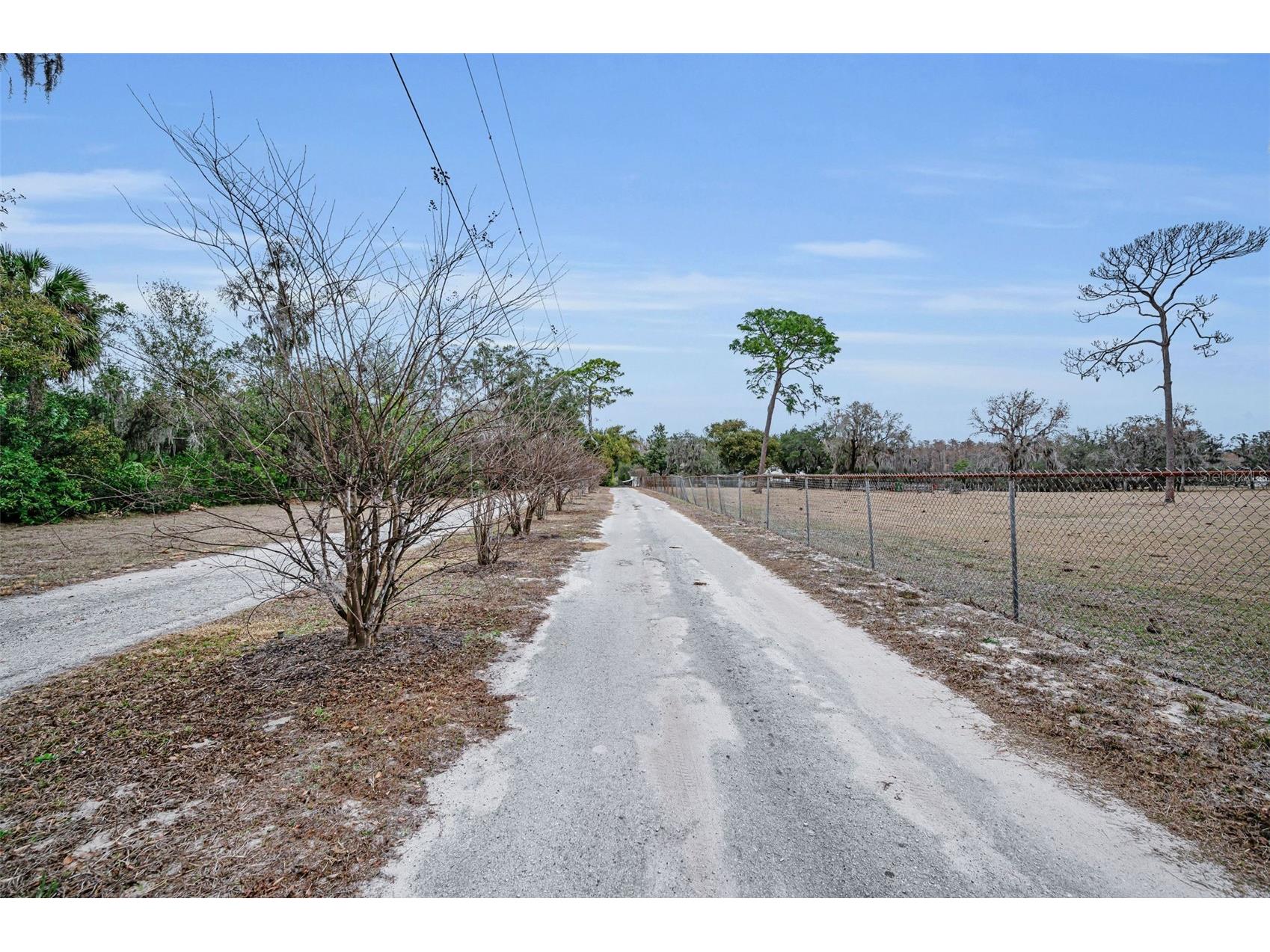 7230 Old Homestead Road New Port Richey FL 34654 TB8476406 image9