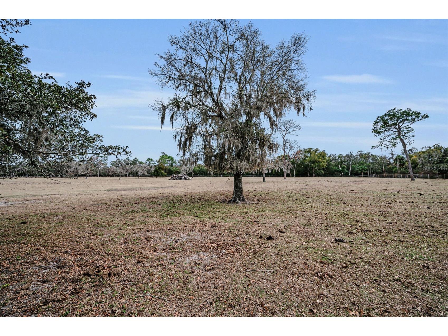 7230 Old Homestead Road New Port Richey FL 34654 TB8476406 image92