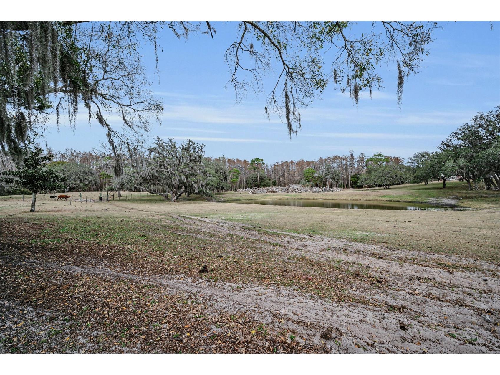 7230 Old Homestead Road New Port Richey FL 34654 TB8476406 image97