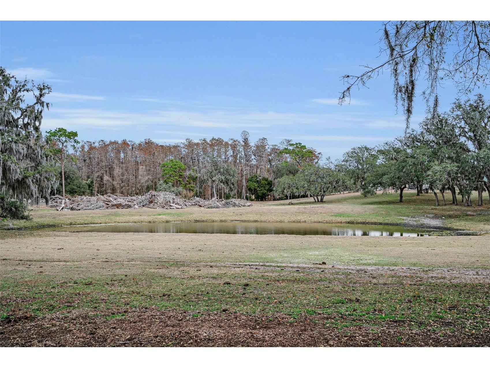 7230 Old Homestead Road New Port Richey FL 34654 TB8476406 image98