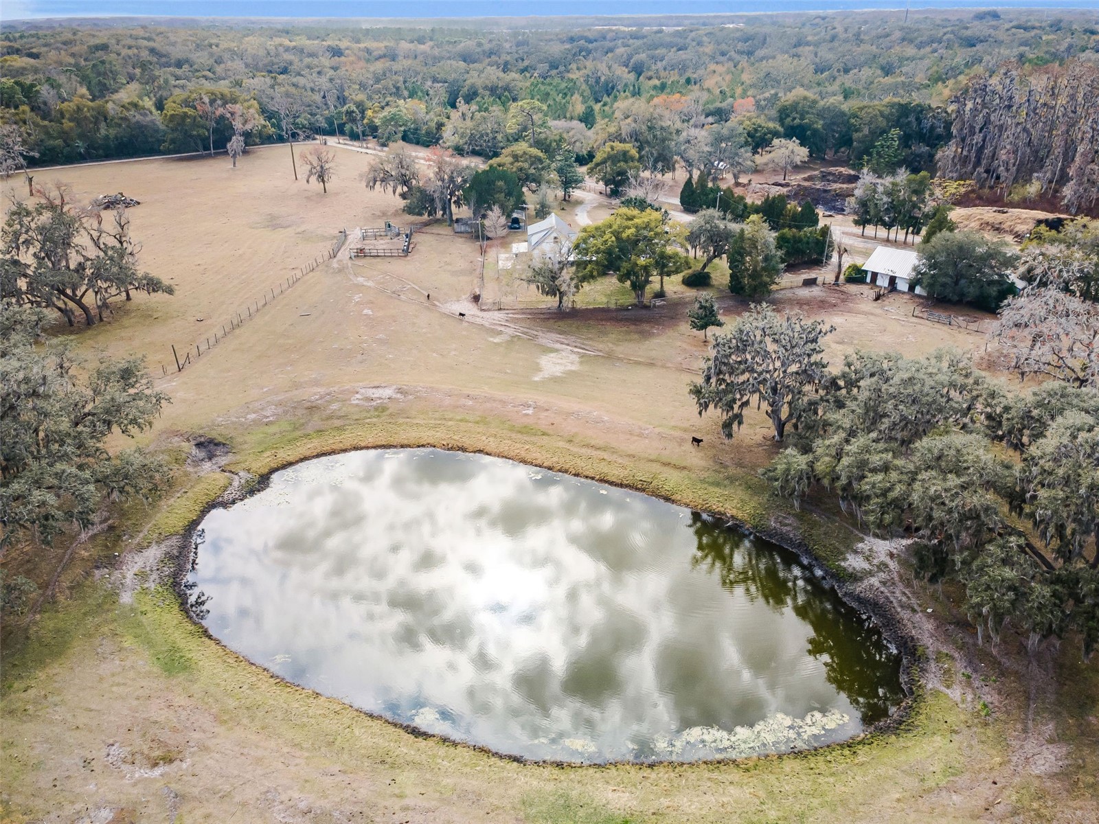 7230 Old Homestead Road New Port Richey FL 34654 TB8476406 image99