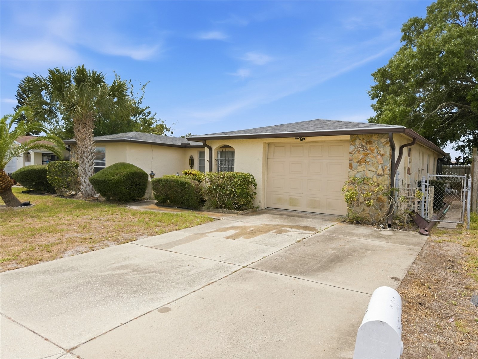 7230 Westcott Drive Port Richey FL 34668 W7886545 image4