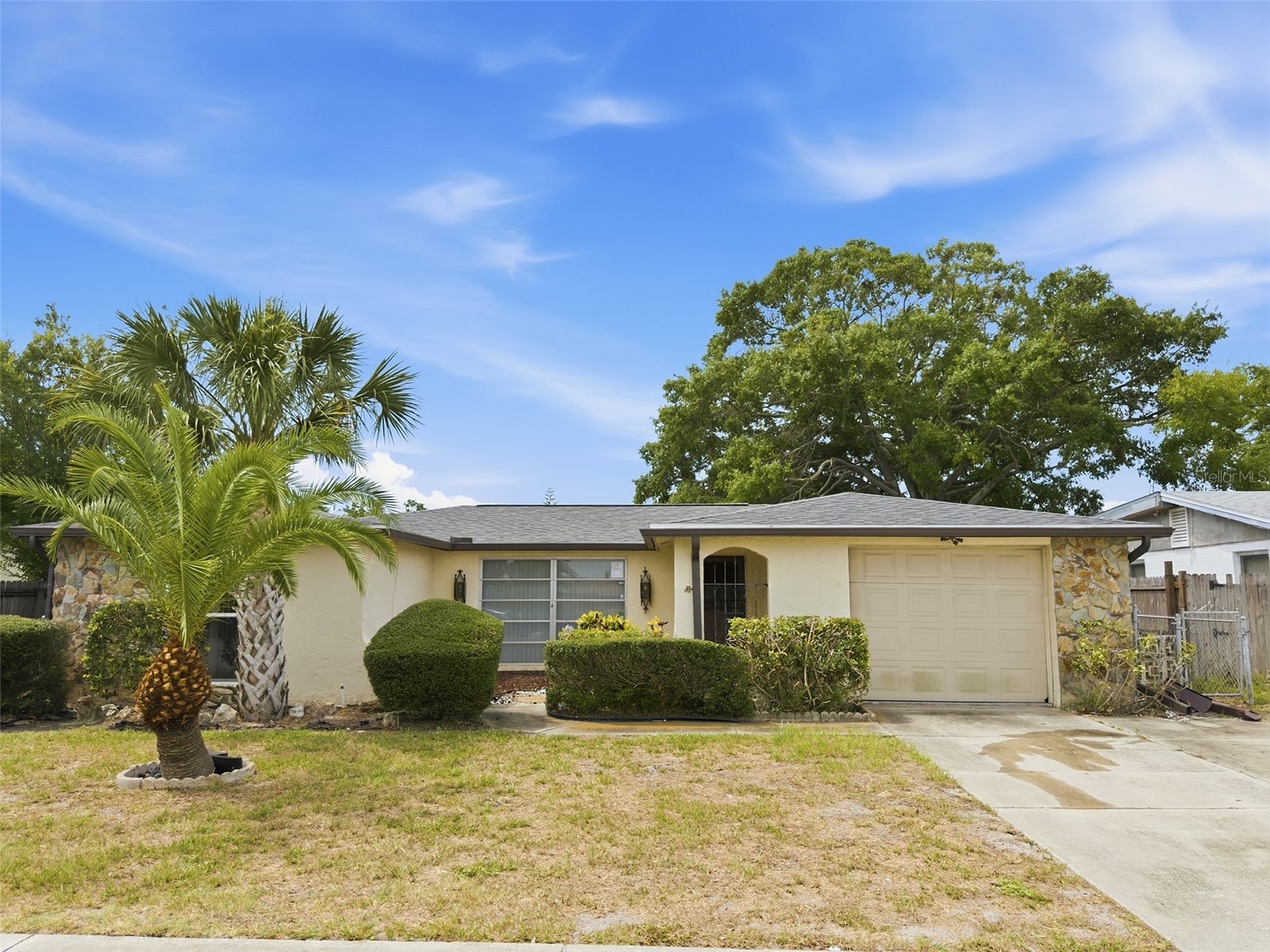 7230 Westcott Drive Port Richey FL 34668 W7886545 image5