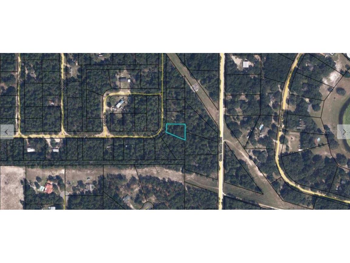 7231 Lehigh Drive Keystone Heights FL 32656 O6231395 image2