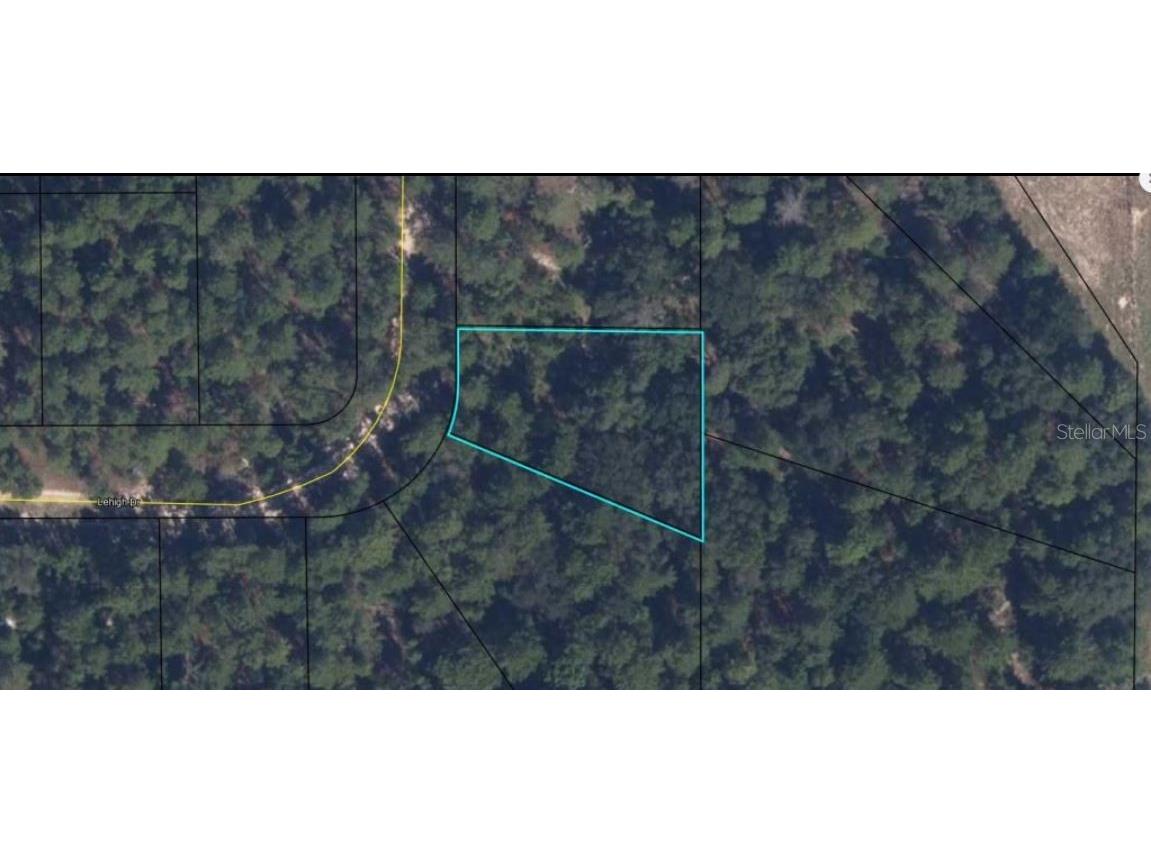 7231 Lehigh Drive Keystone Heights FL 32656 O6231395 image3