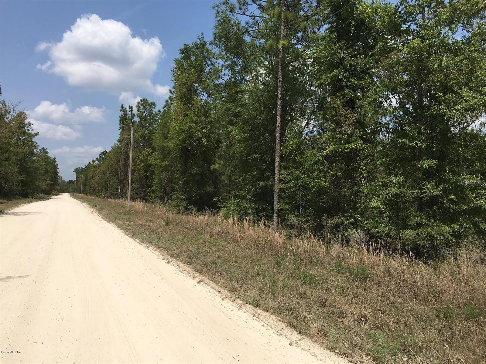7231 NE 136th Avenue Williston FL 32696 OM723159 image1