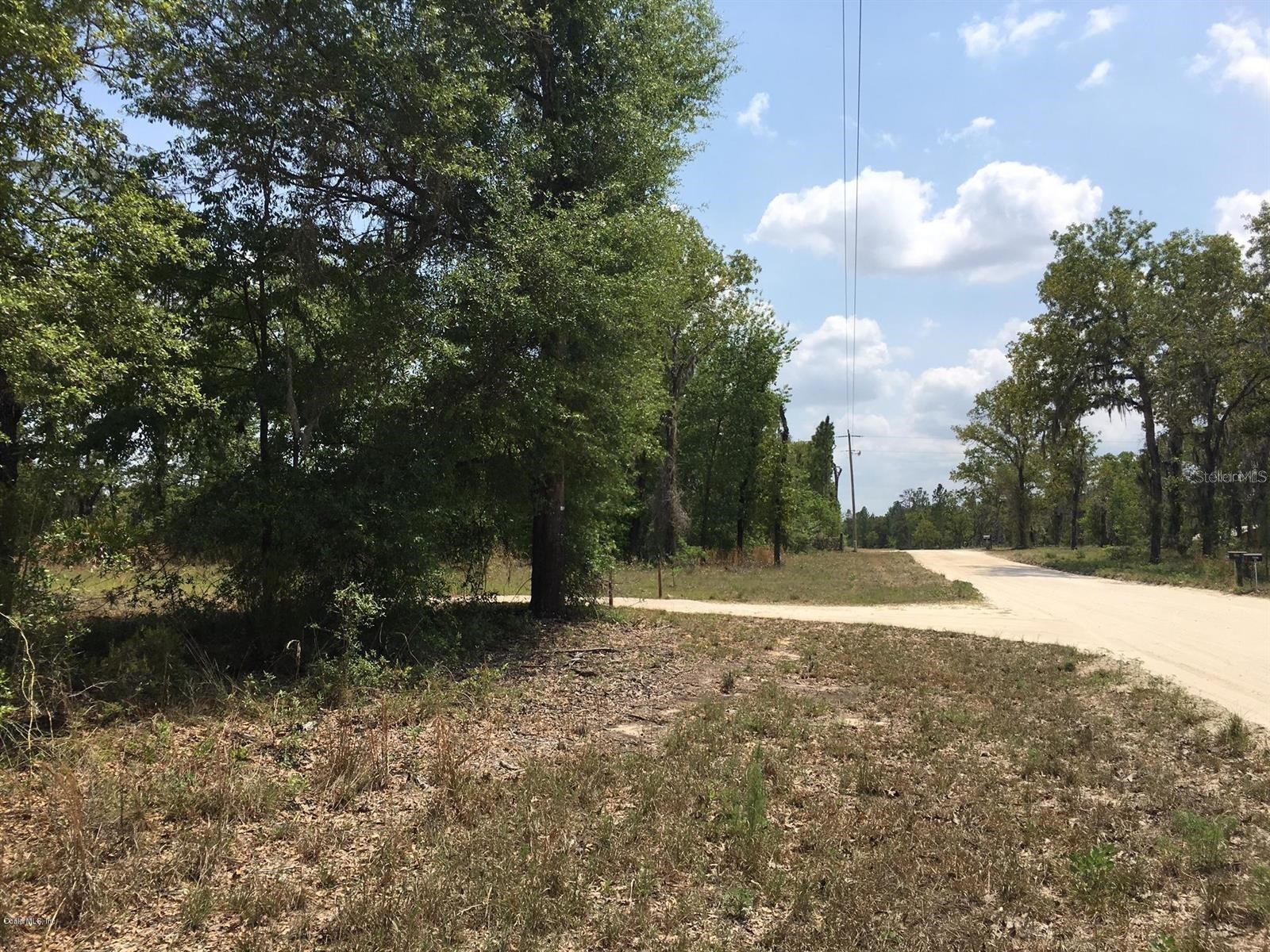 7231 NE 136th Avenue Williston FL 32696 OM723159 image4