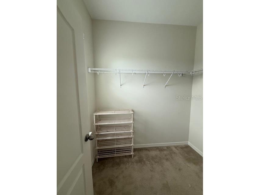 7231 Shadeview Alley Windermere FL 34786 O6363594 image14