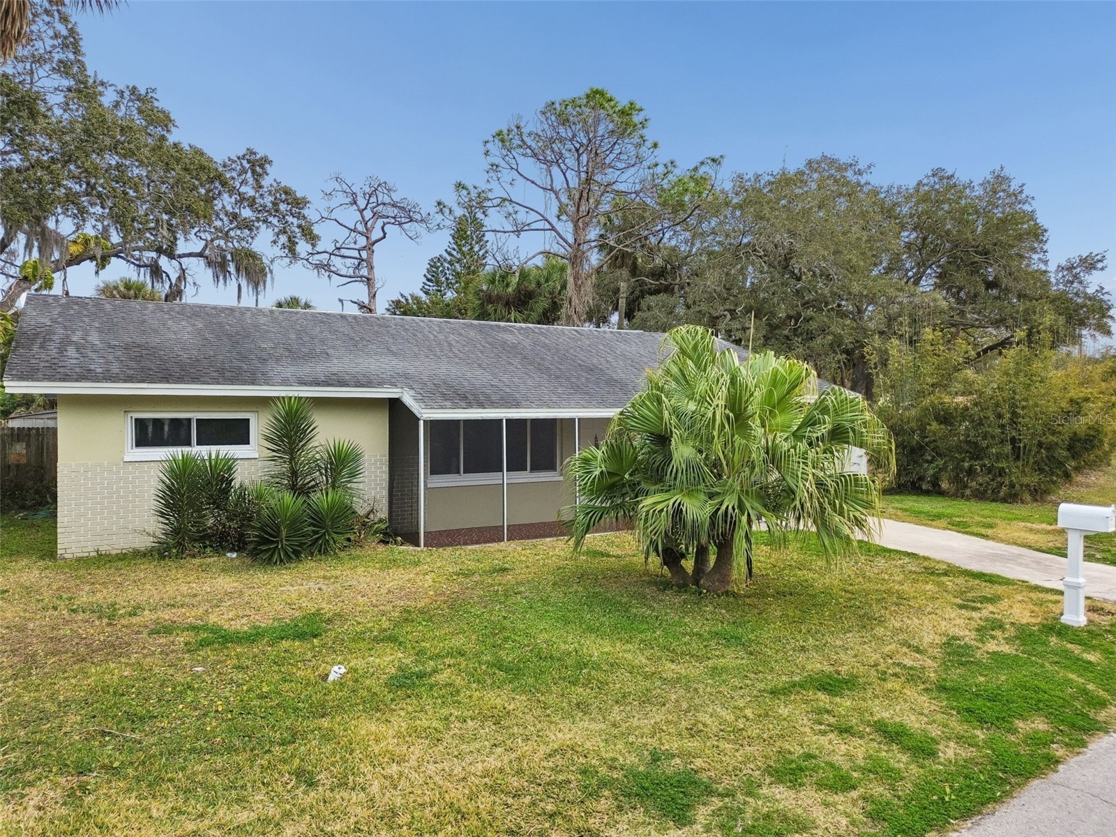 7232 Dianne Drive New Port Richey FL 34652 TB8476202 image47