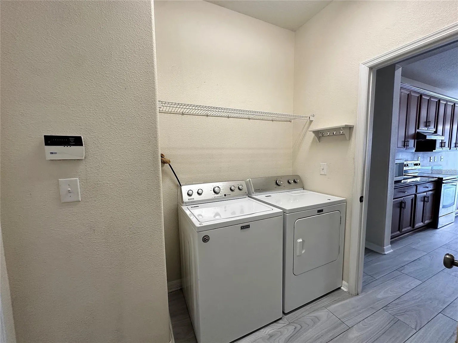 7232 Seedpod Loop Wesley Chapel FL 33545 TB8495938 image23