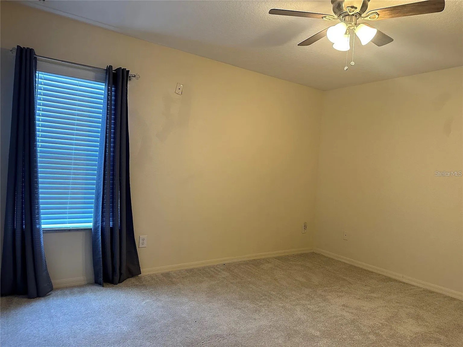 7232 Seedpod Loop Wesley Chapel FL 33545 TB8495938 image27