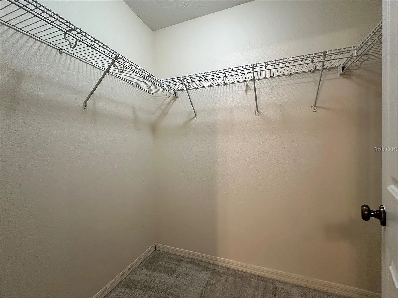 7232 Seedpod Loop Wesley Chapel FL 33545 TB8495938 image32