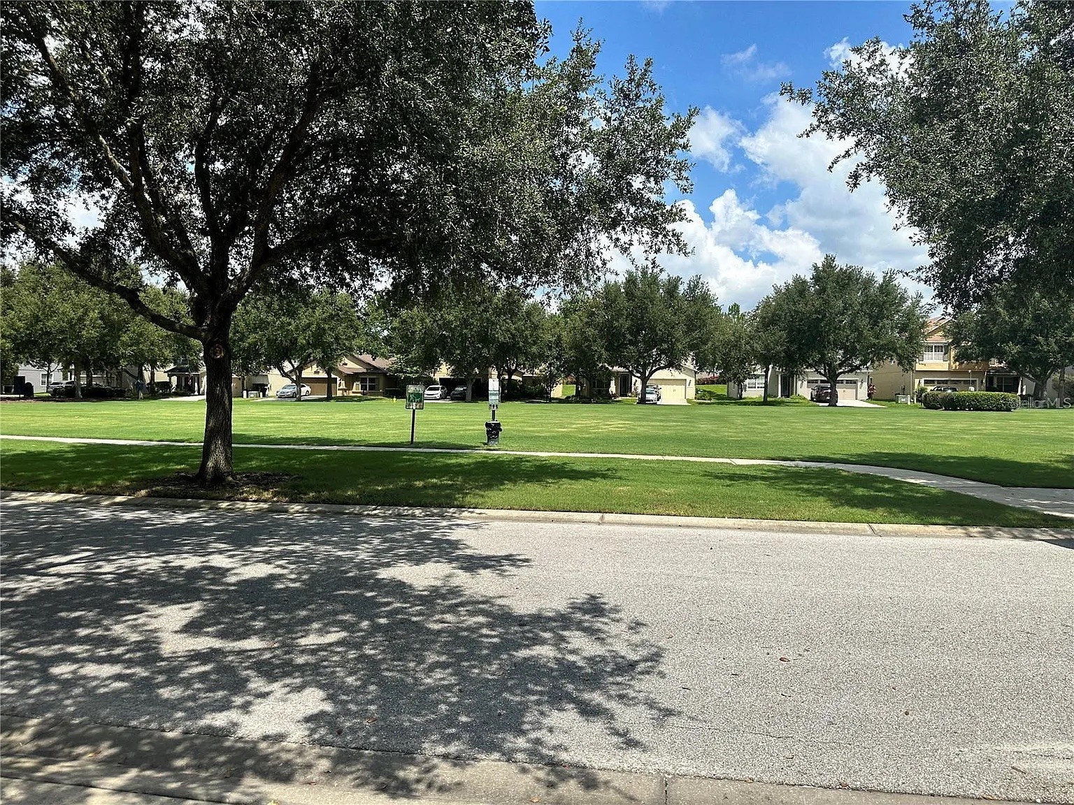 7232 Seedpod Loop Wesley Chapel FL 33545 TB8495938 image33