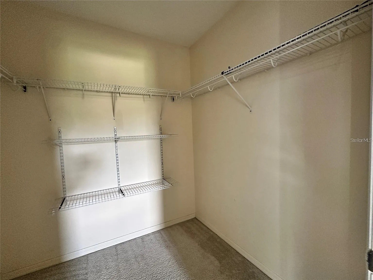 7232 Seedpod Loop Wesley Chapel FL 33545 TB8495938 image37